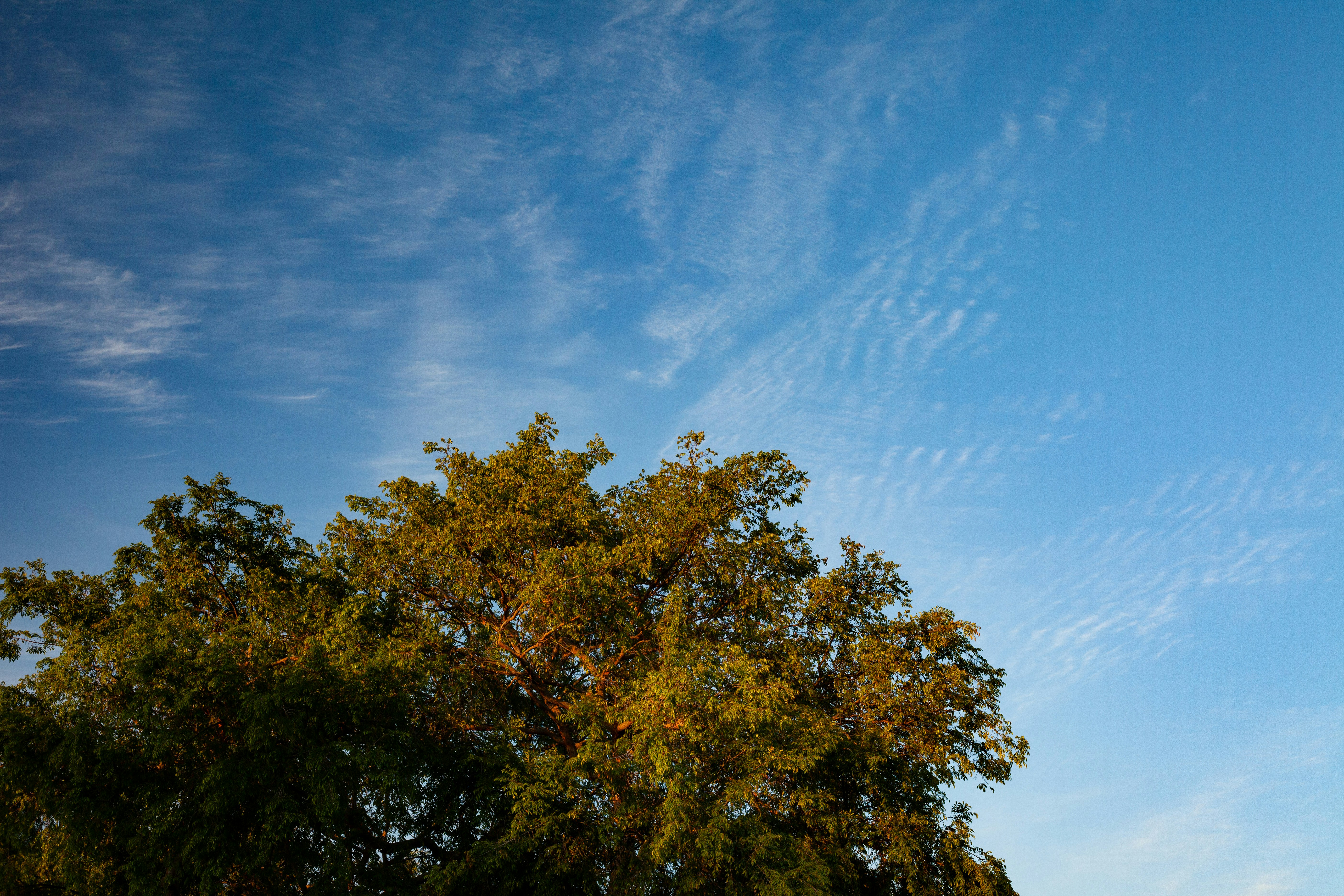 Photo by capturedbyjavi