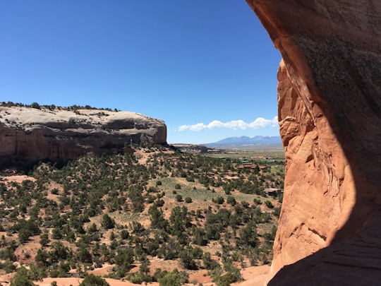 brown rock formation under blue sky during daytime in Wilson Arch United States