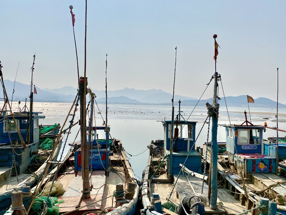 white and black boat on sea during daytime