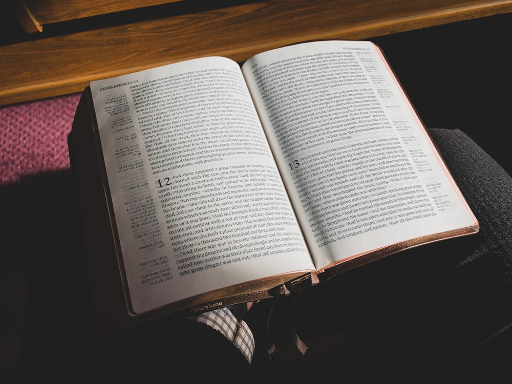 person in black and white striped pants standing in front of book