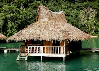 brown wooden house on body of water during daytime