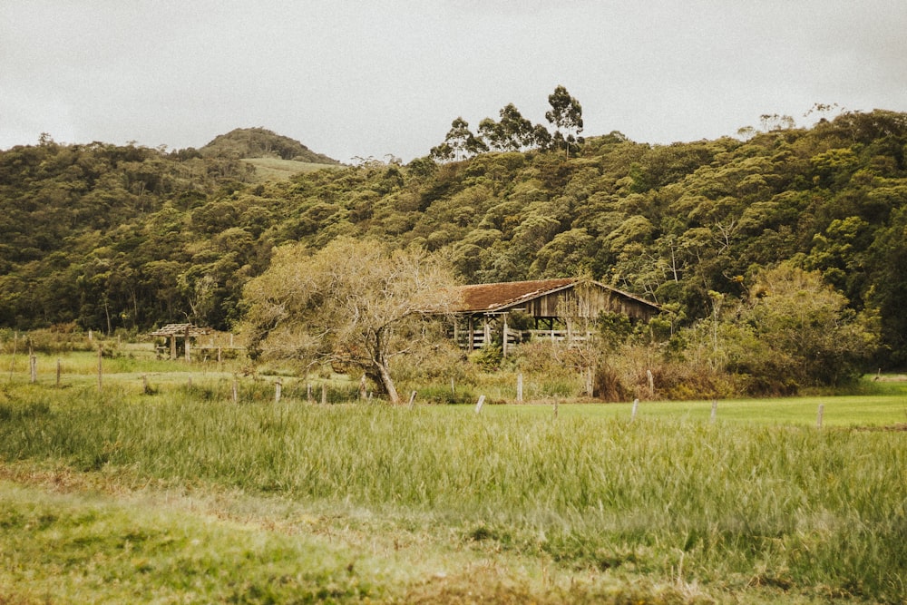 brown wooden house on green grass field near mountain during daytime