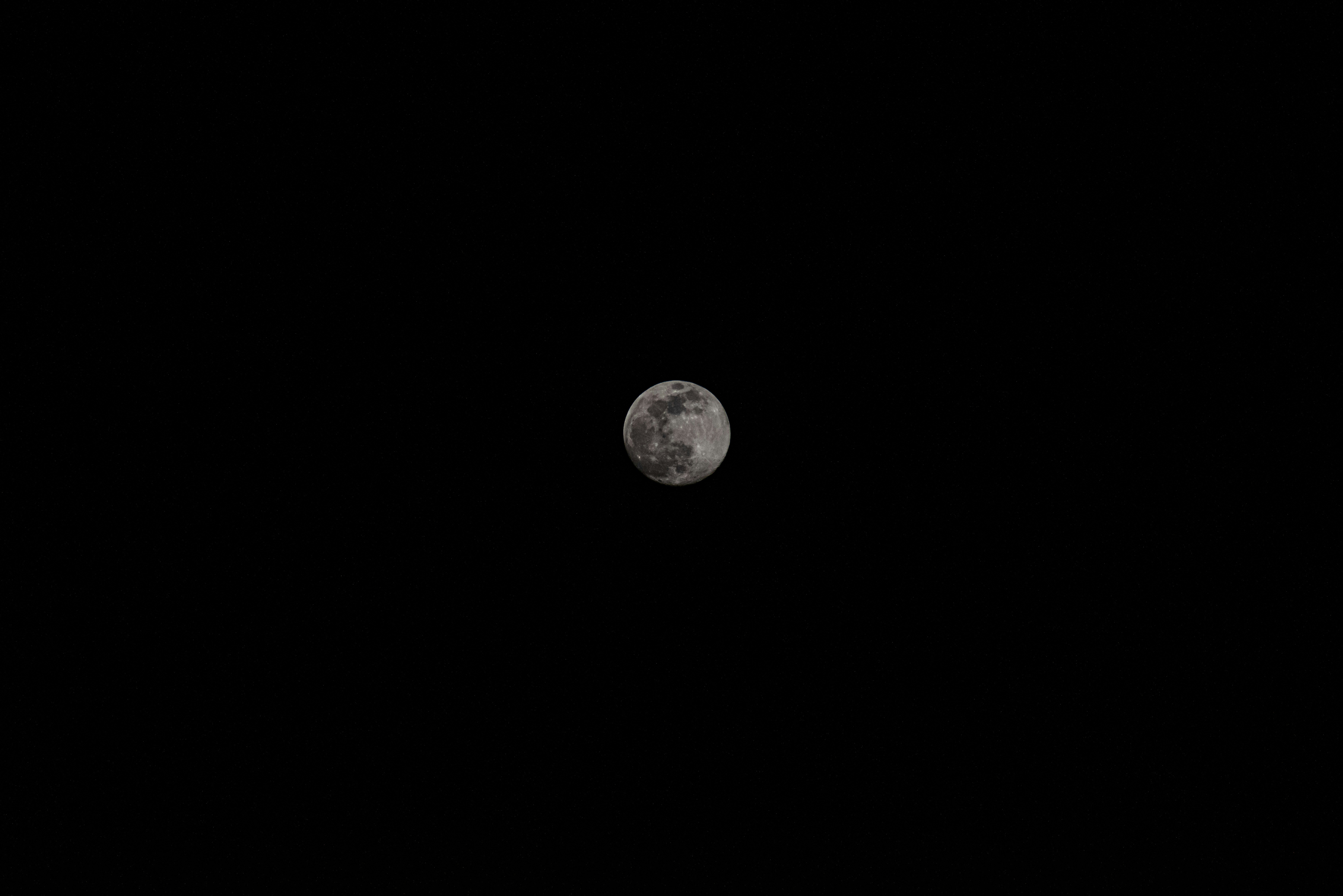 Photo by seitamaaphotography