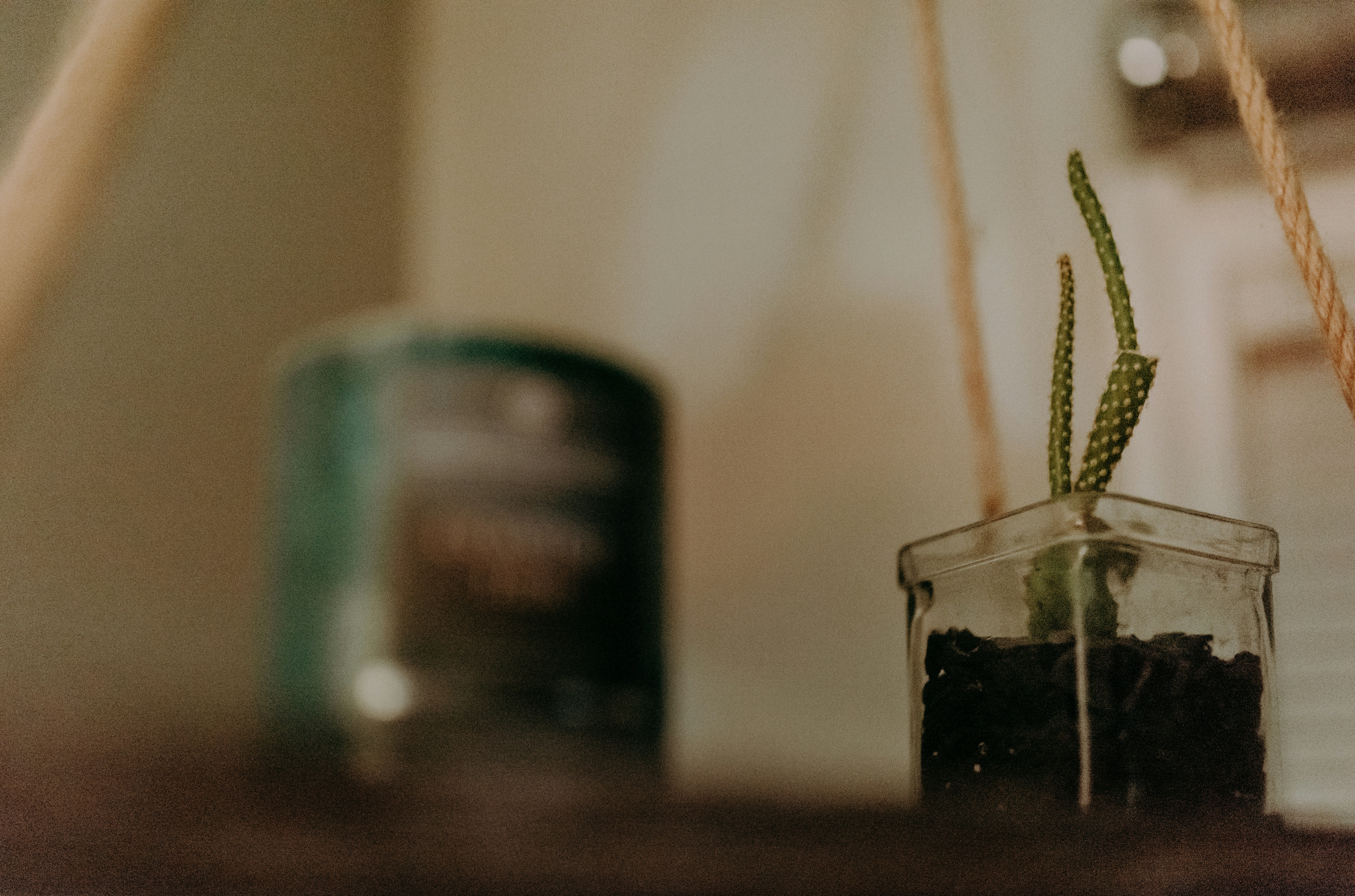 Photo by seitamaaphotography