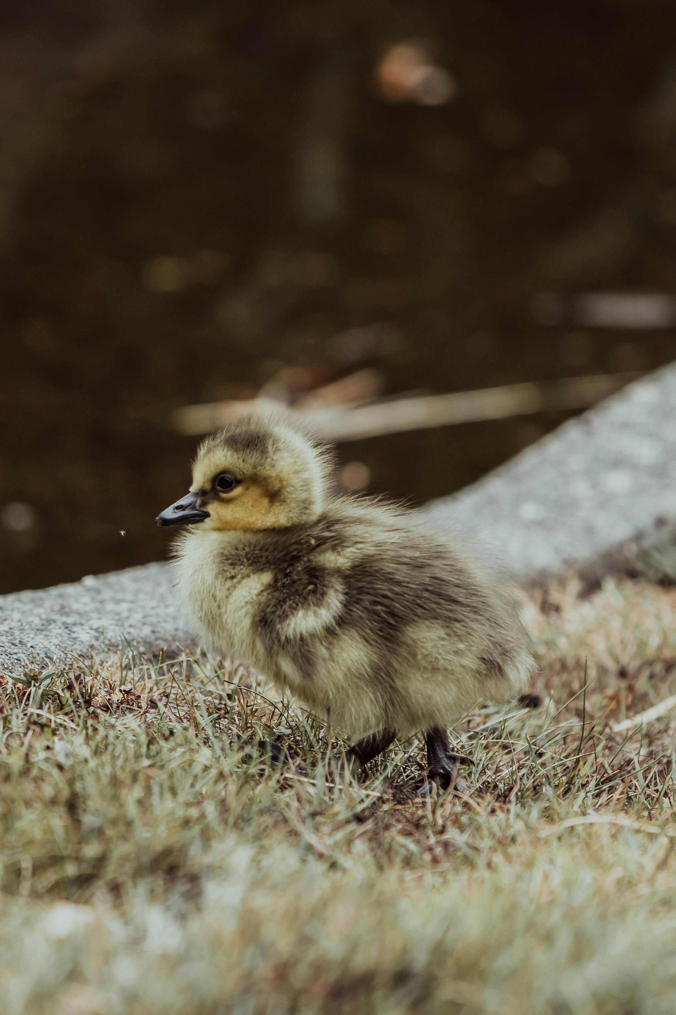 Photo by danika_anya