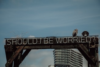 reliable website design services