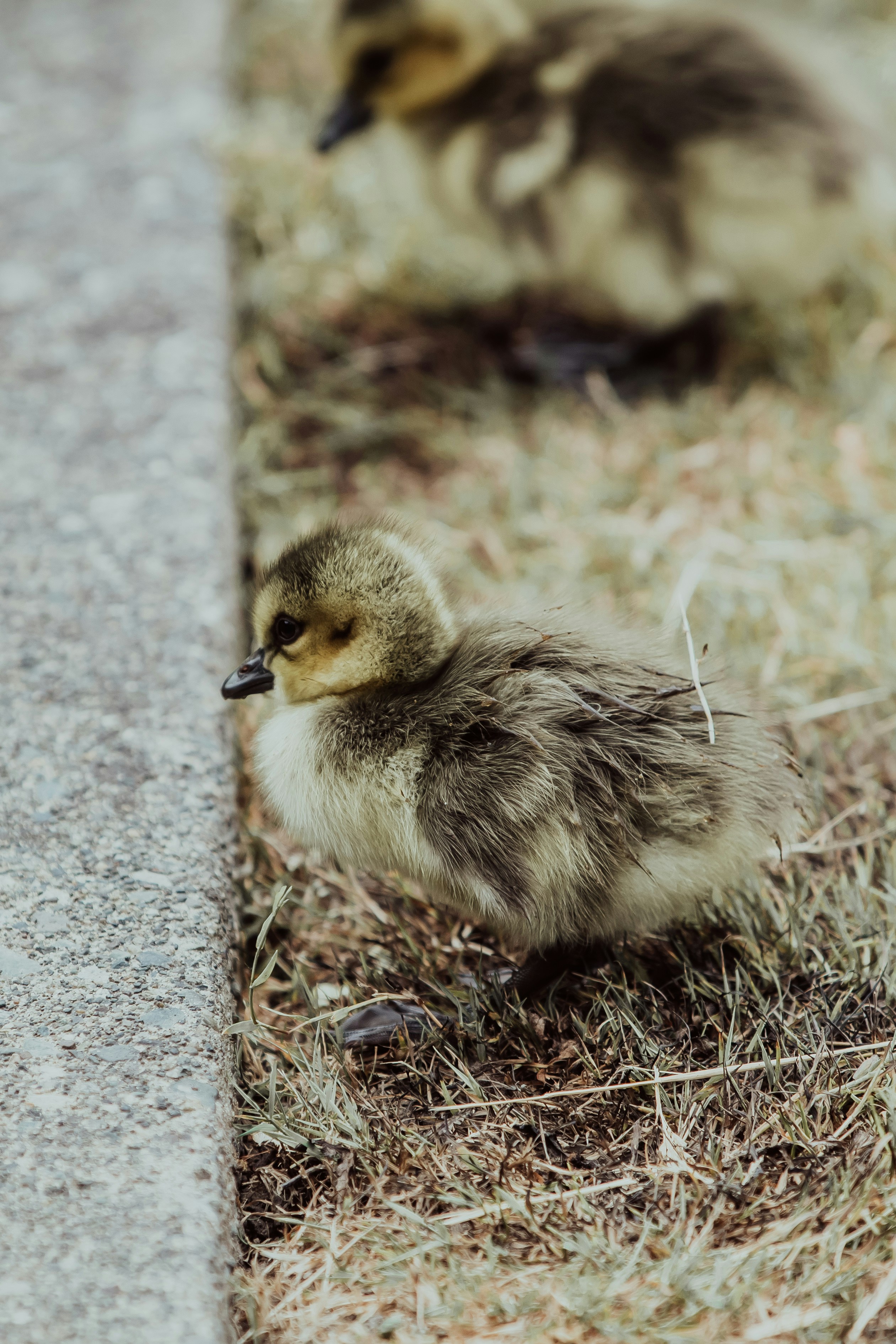 Photo by danika_anya