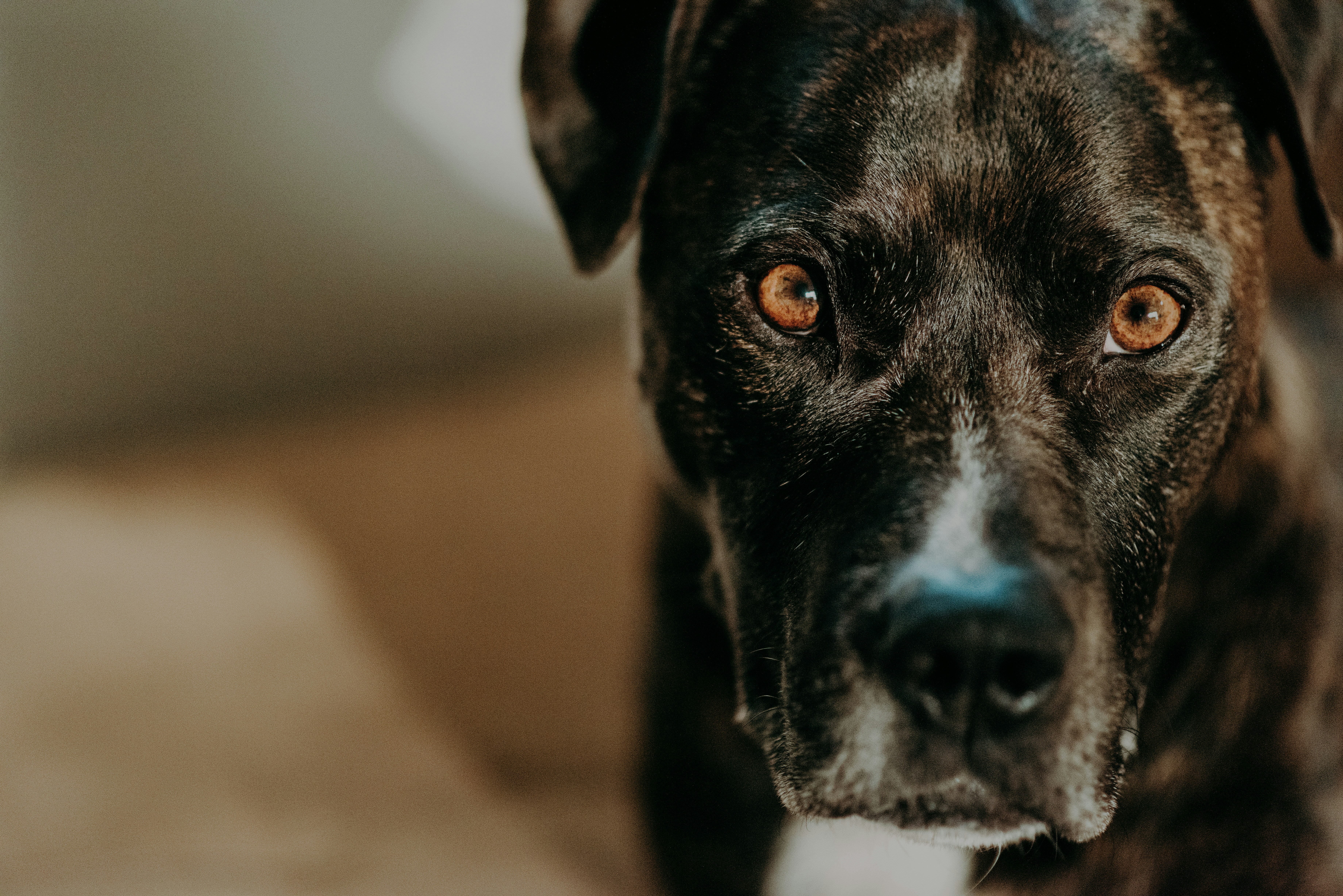 Photo by seitamaaphotography