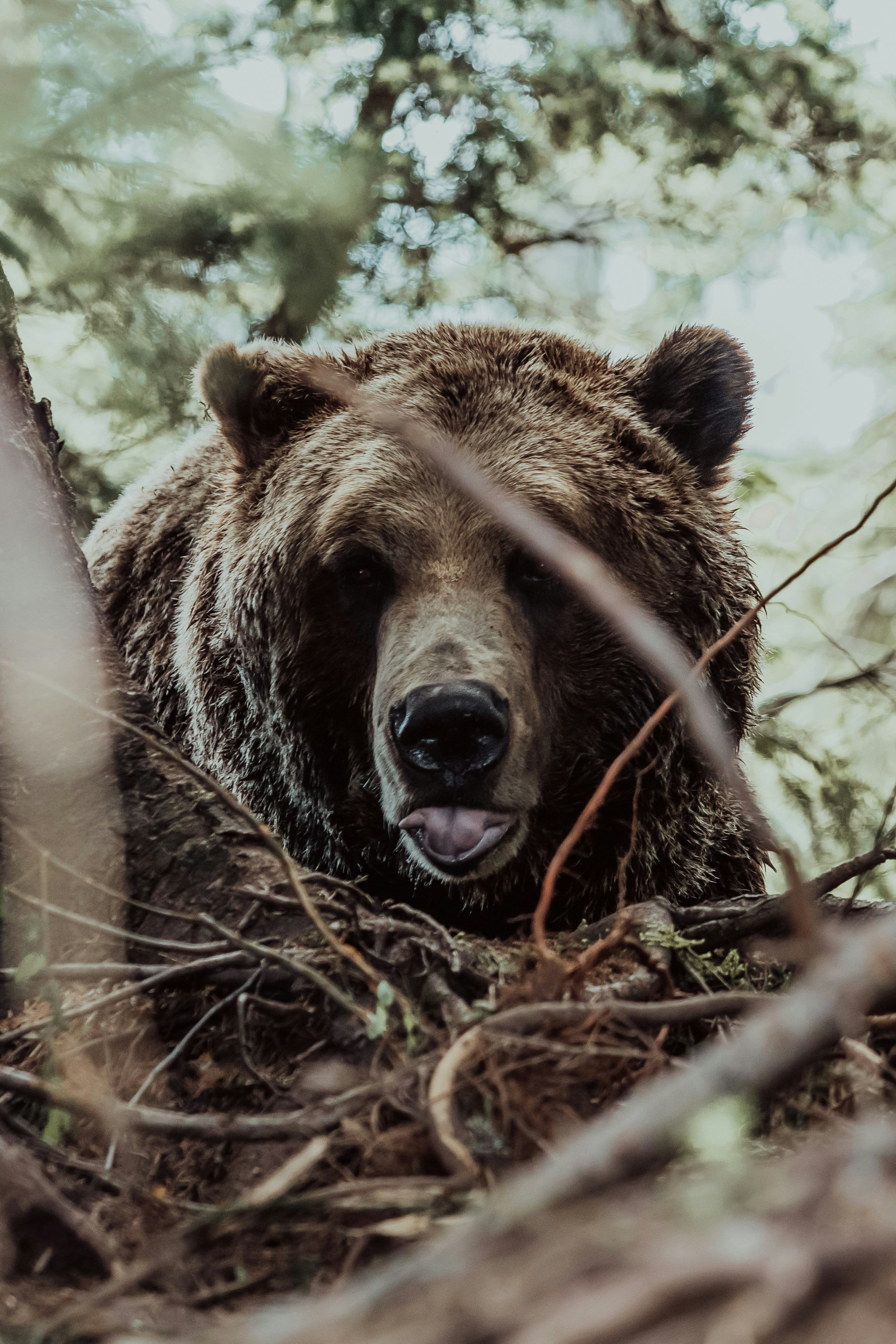 Photo by danika_anya