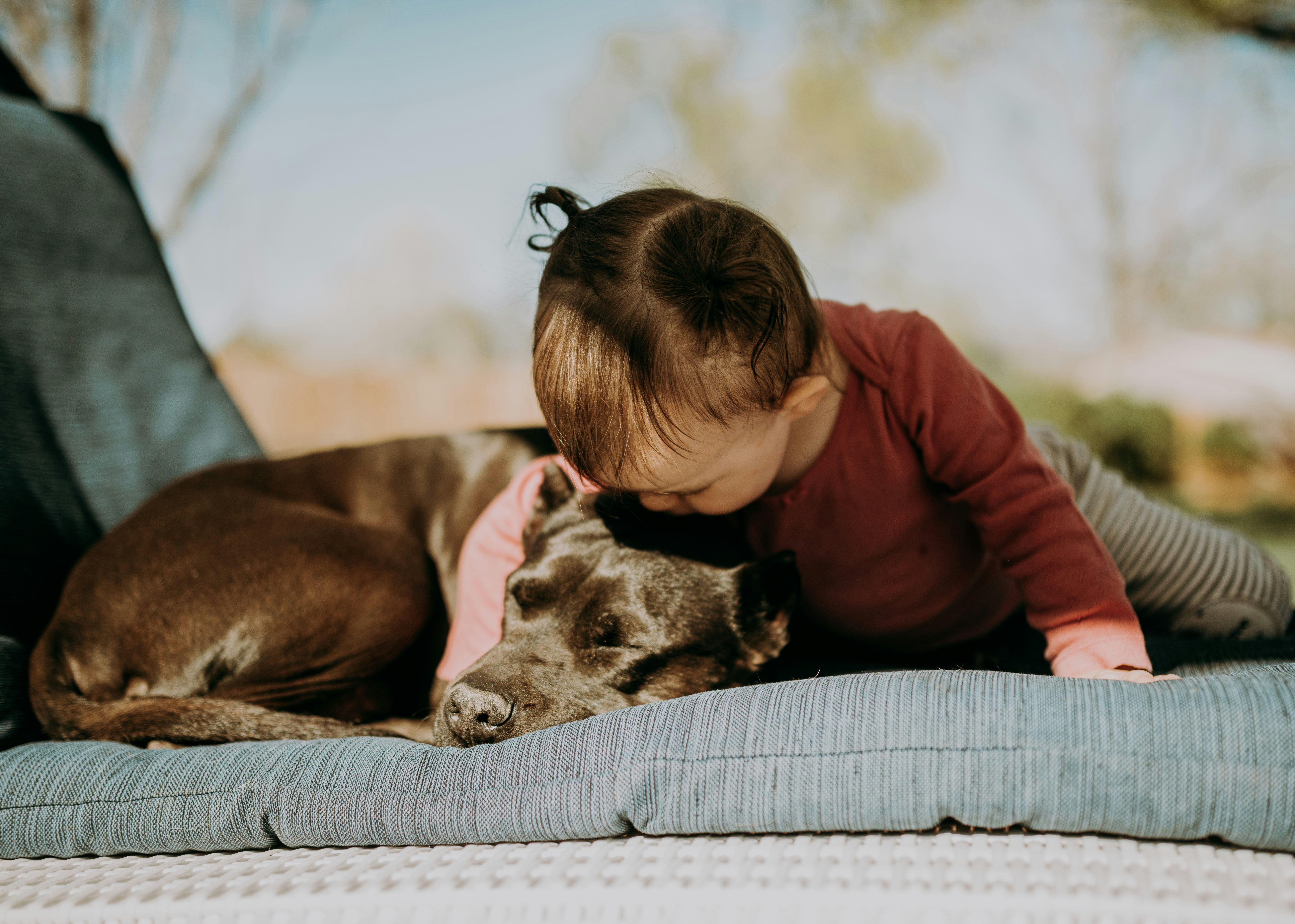 The Role of Family Dogs in Child Development and Empathy Building