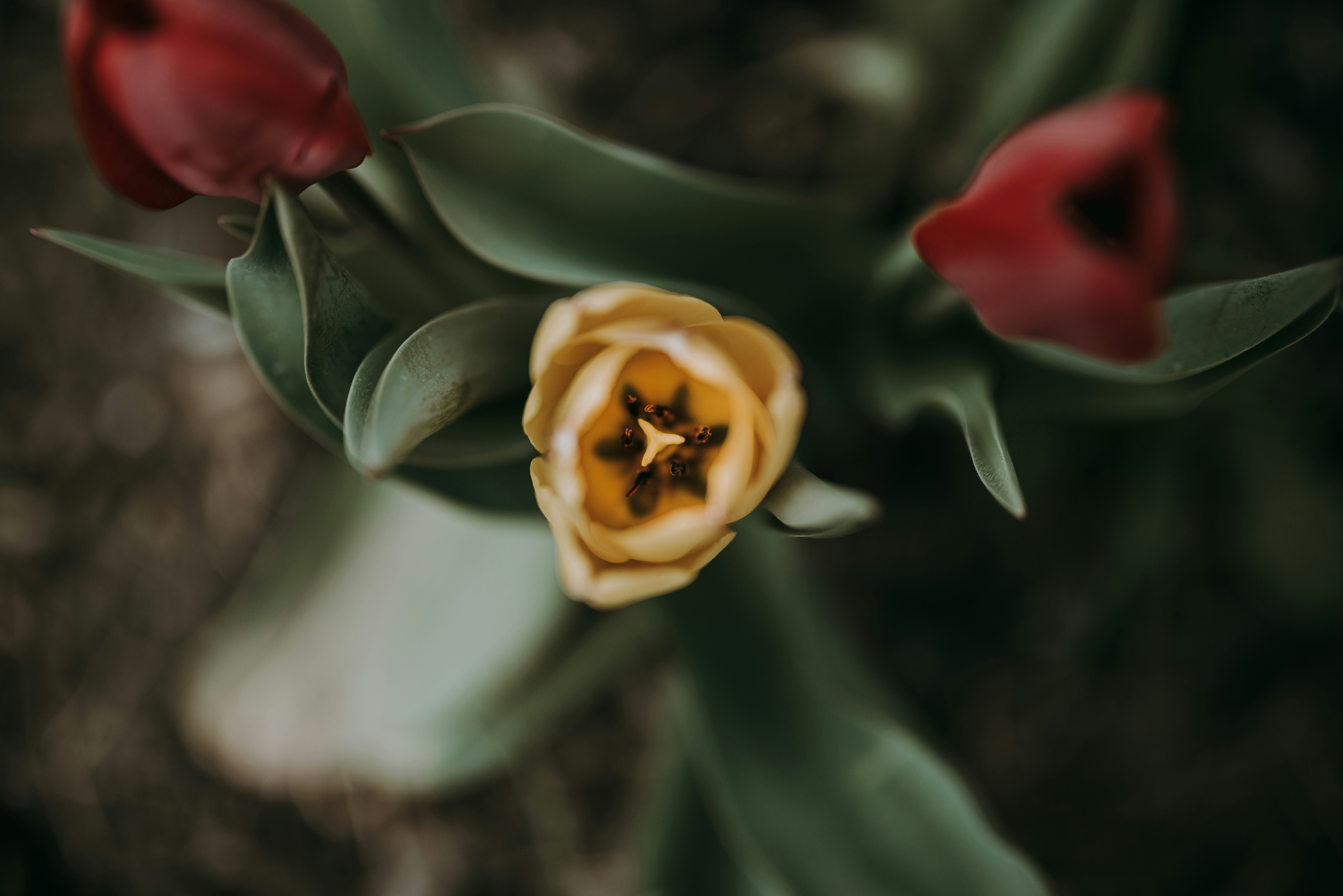 Photo by seitamaaphotography