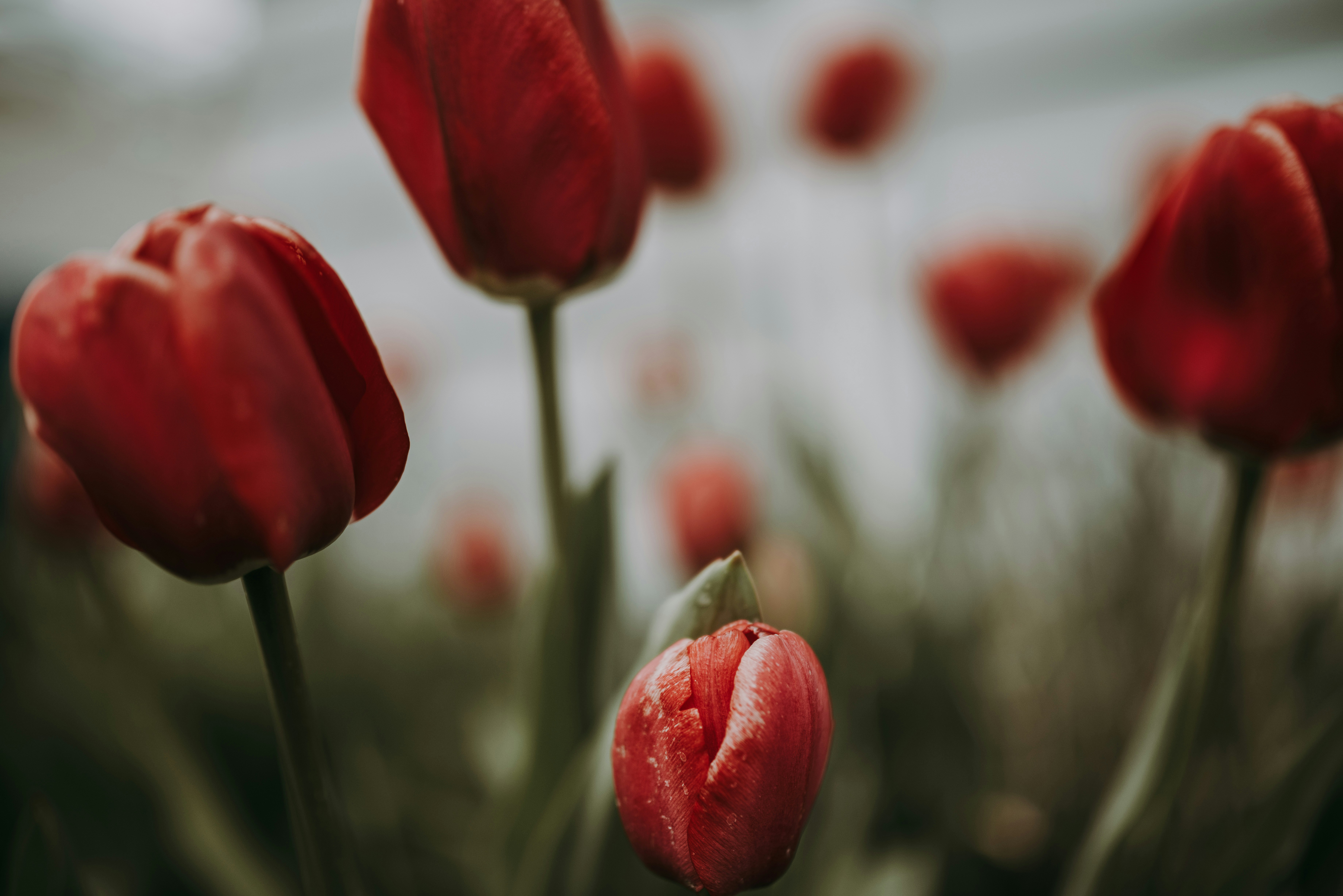 Photo by seitamaaphotography