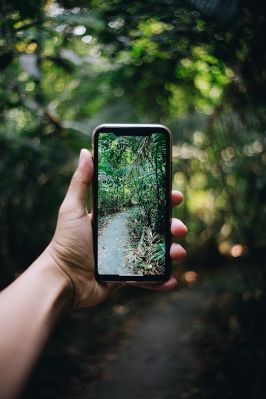 person holding black smartphone with green plant on the background in Khao Yai National Park Thailand