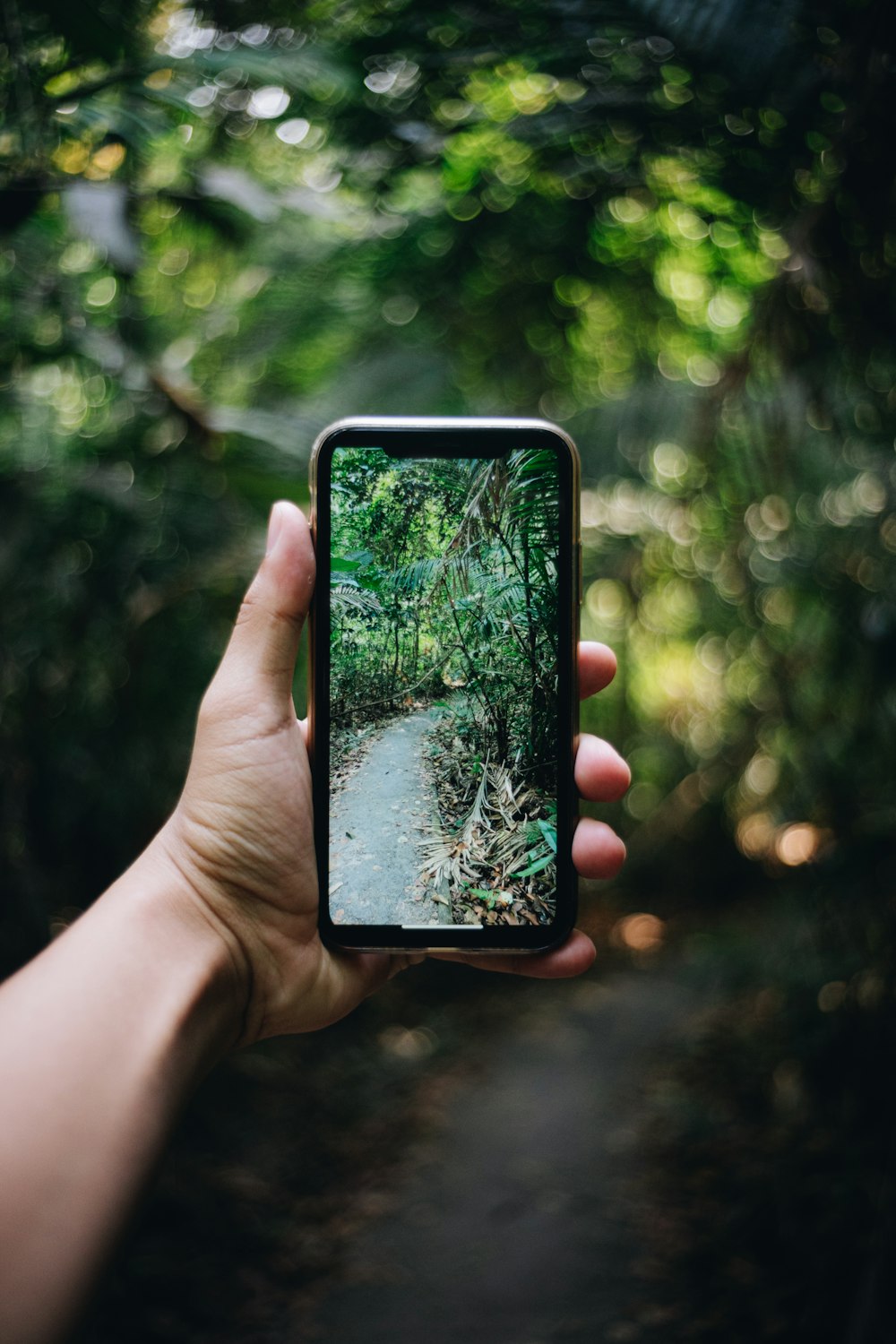 Persona che tiene in mano lo smartphone nero con la pianta verde sullo sfondo