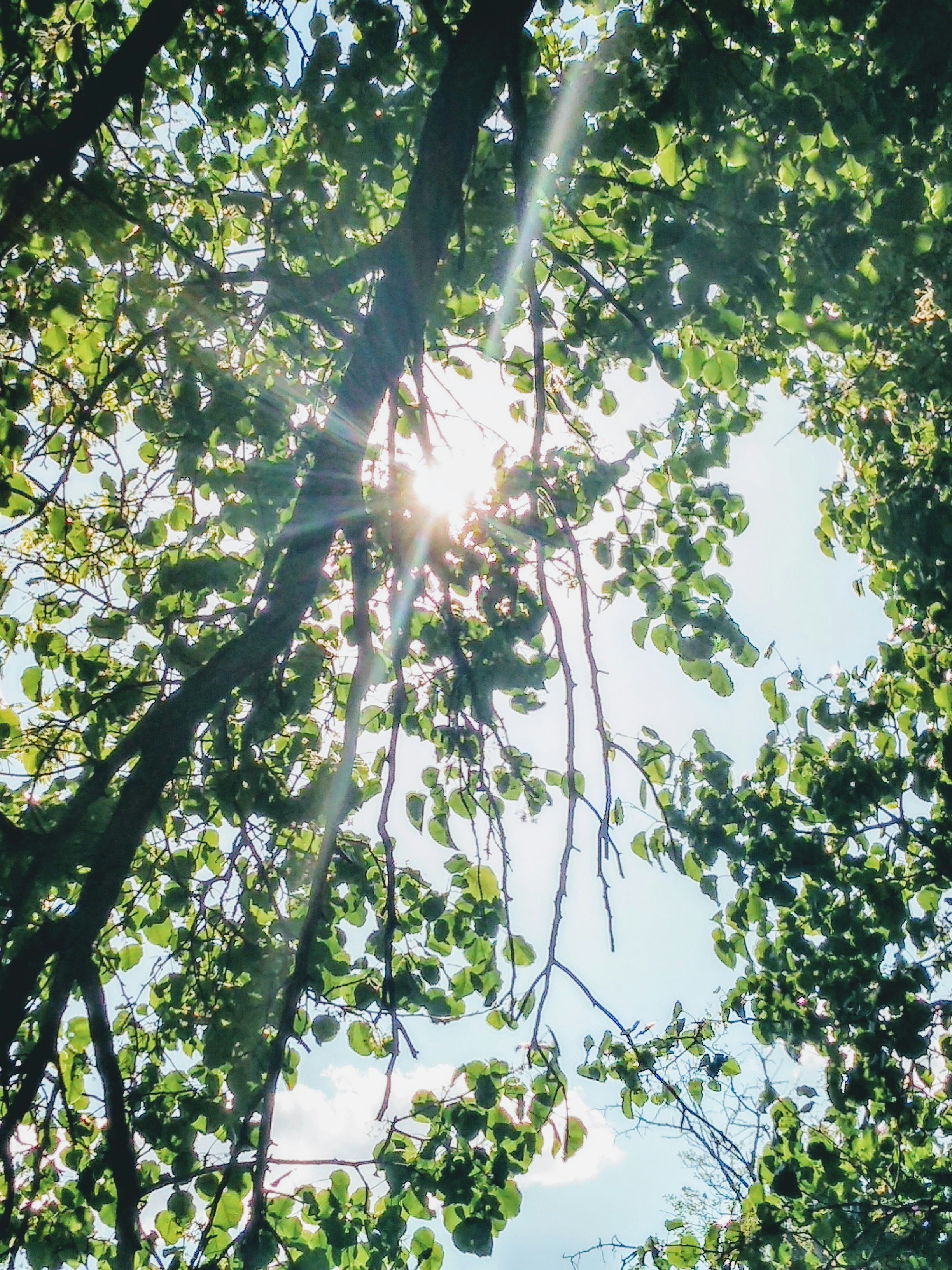 Photo by lekiss_blades_lights