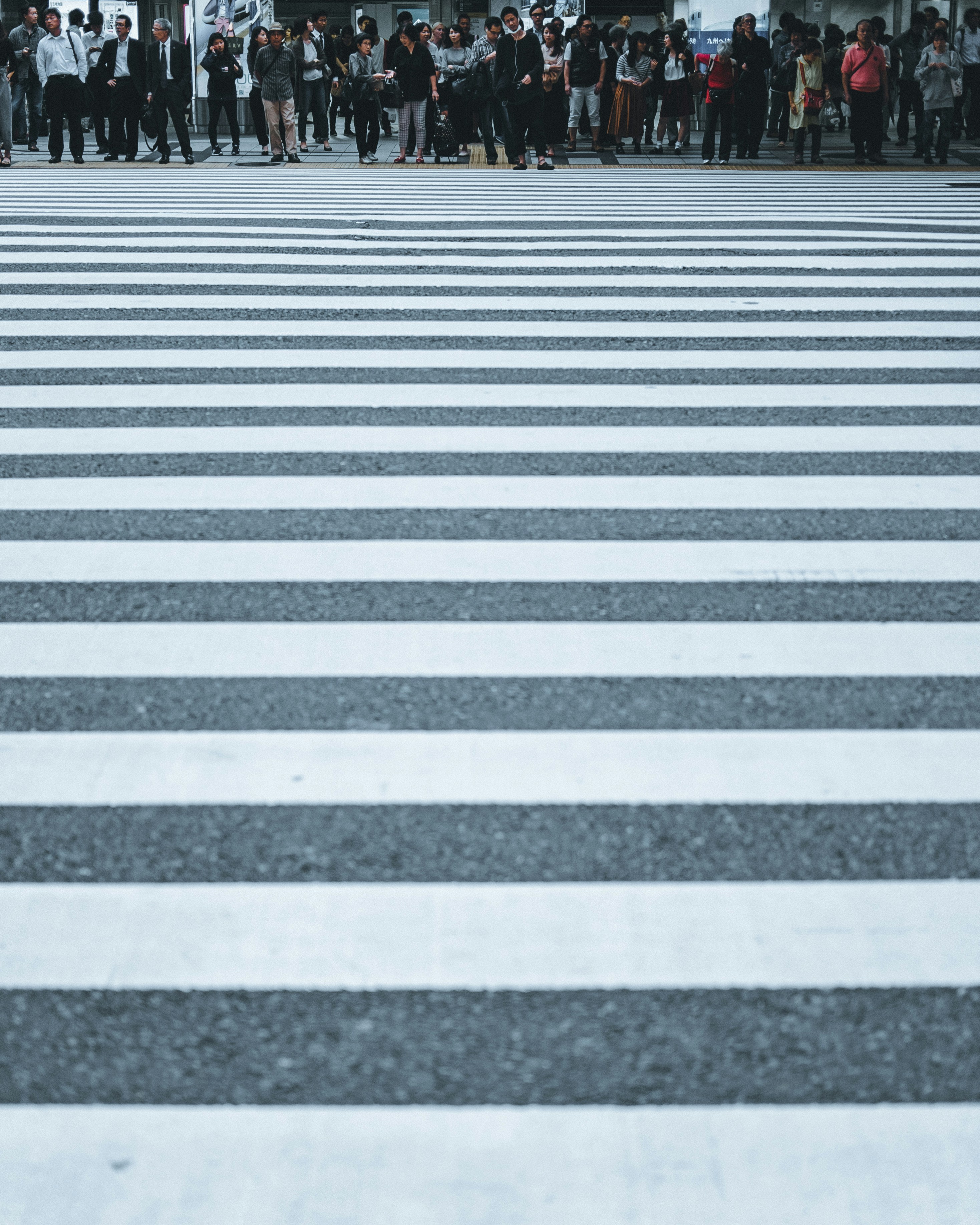 Photo by visualdotxav