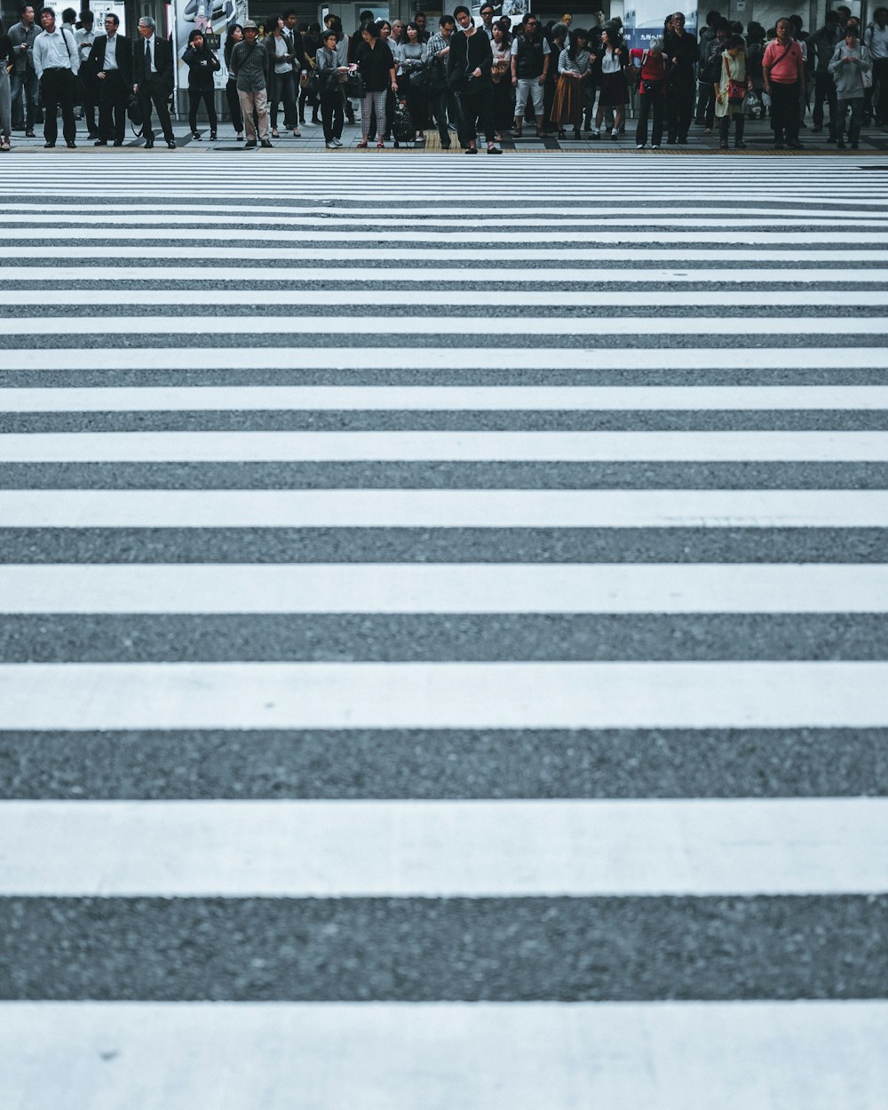 white and black stripe road