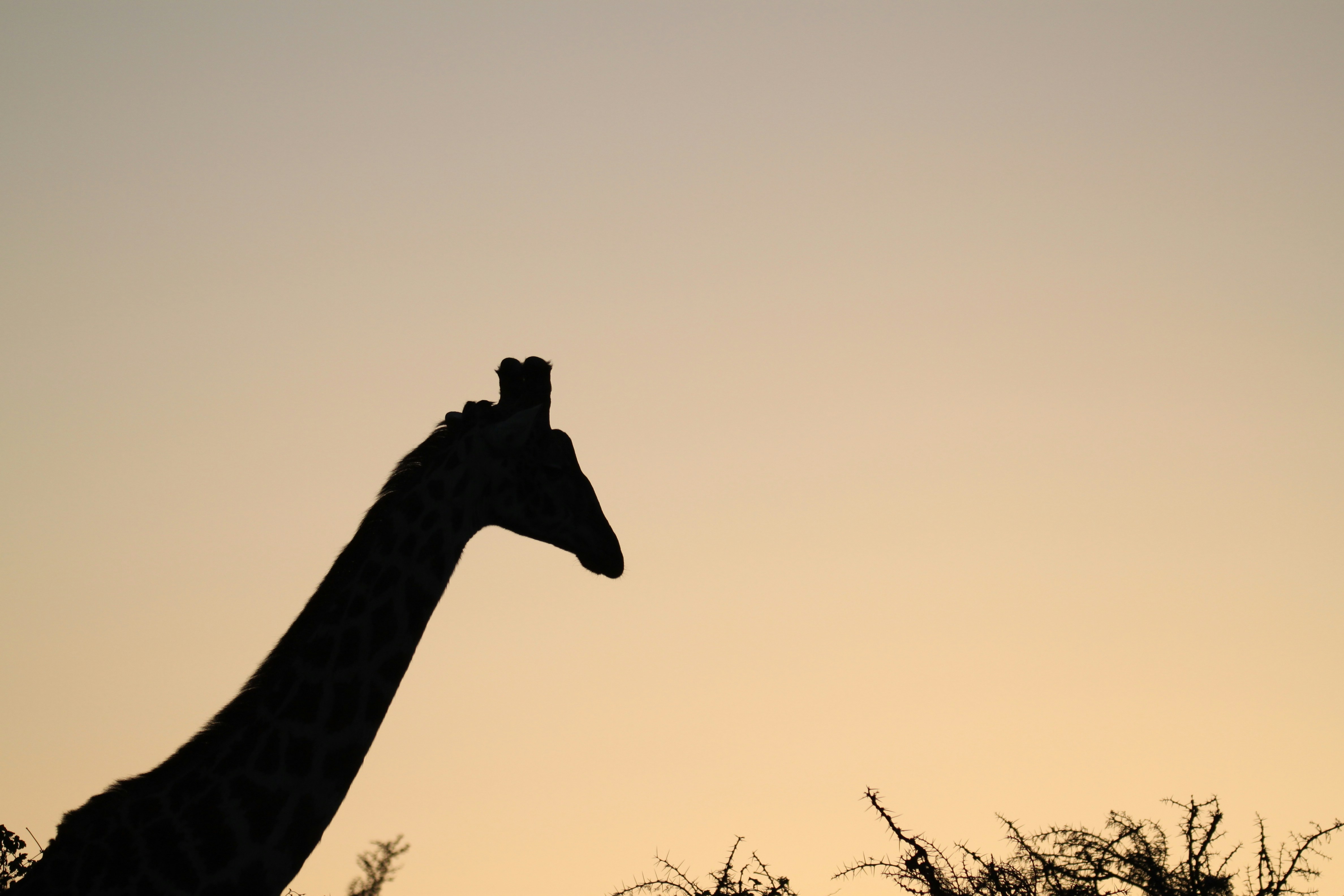 Photo by lavenderxtreme