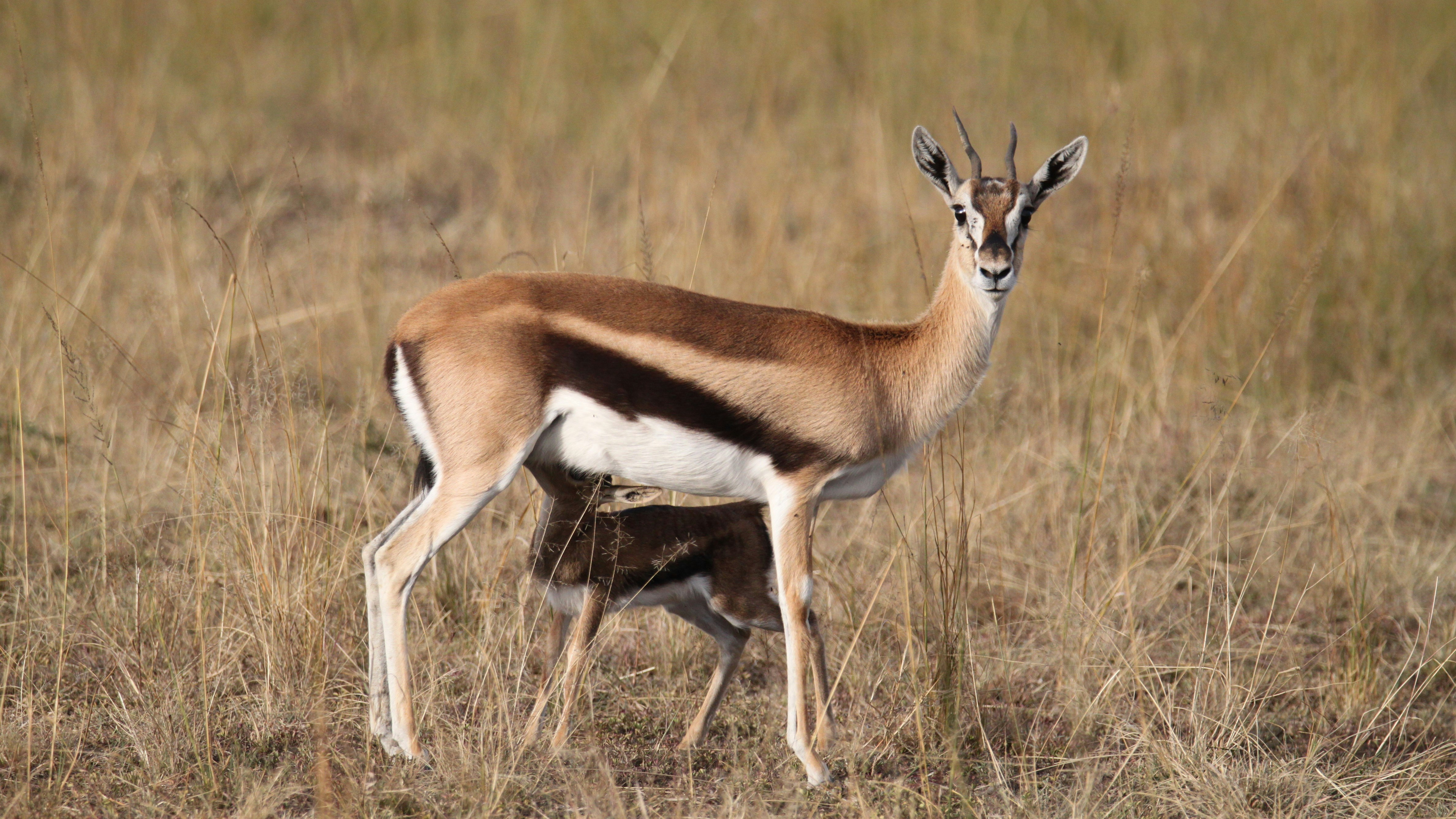 Photo by lavenderxtreme