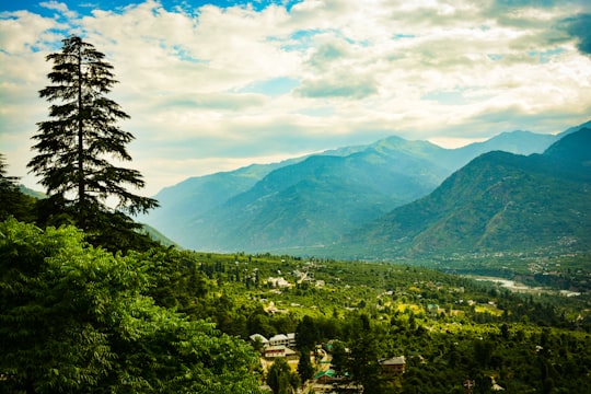 green trees and mountains under white clouds and blue sky during daytime in Manali India
