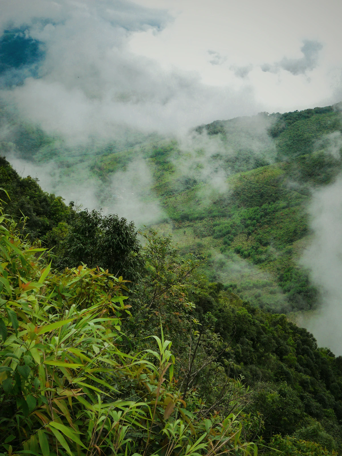 Aerial view of verdant Meghalayan hills with mist-covered valleys and winding paths