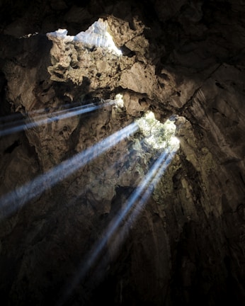 Sunlight filtering through the entrance of a vast cave in Trang An landscape complex.