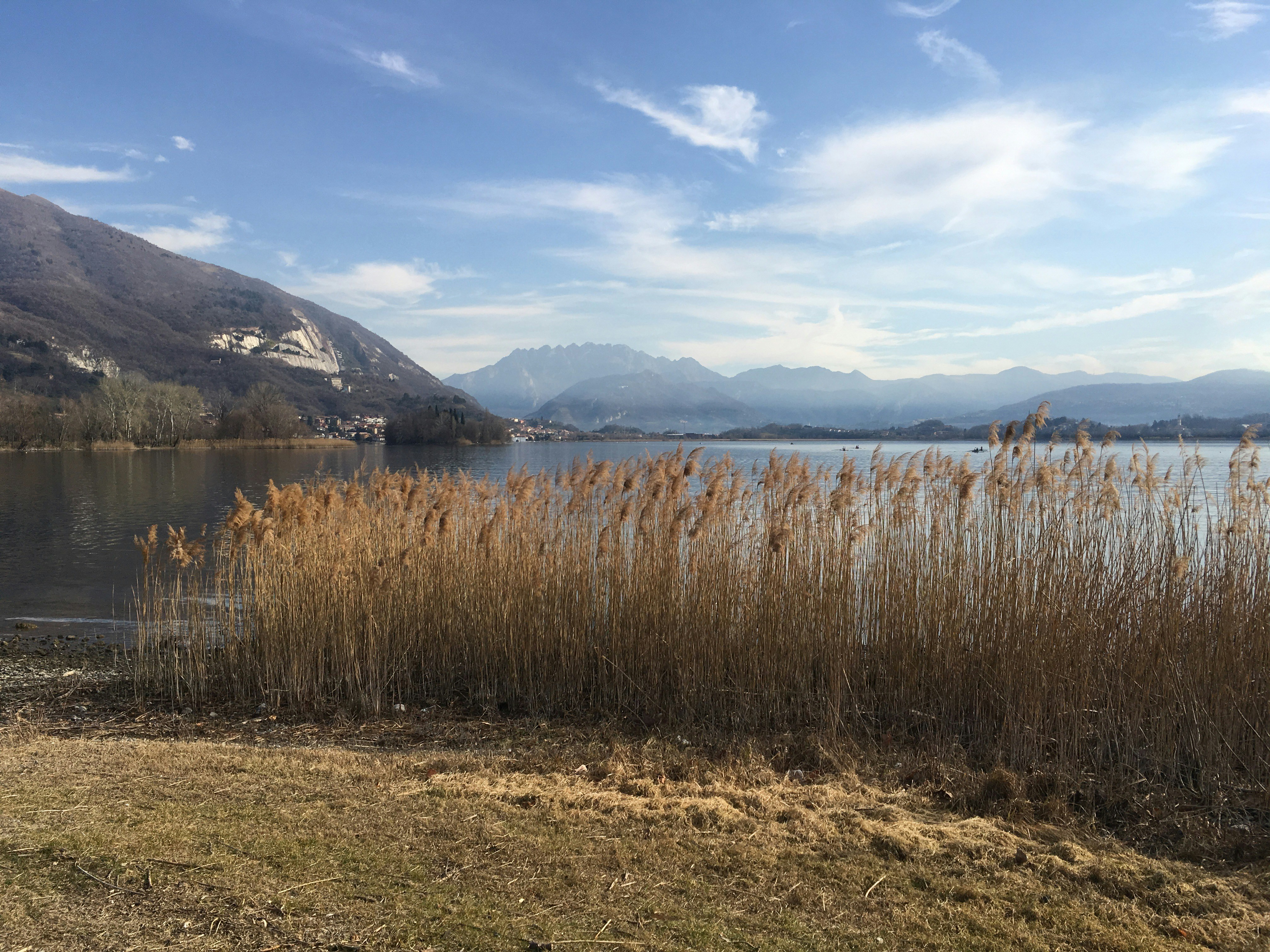 brown grass field near lake under blue sky during daytime