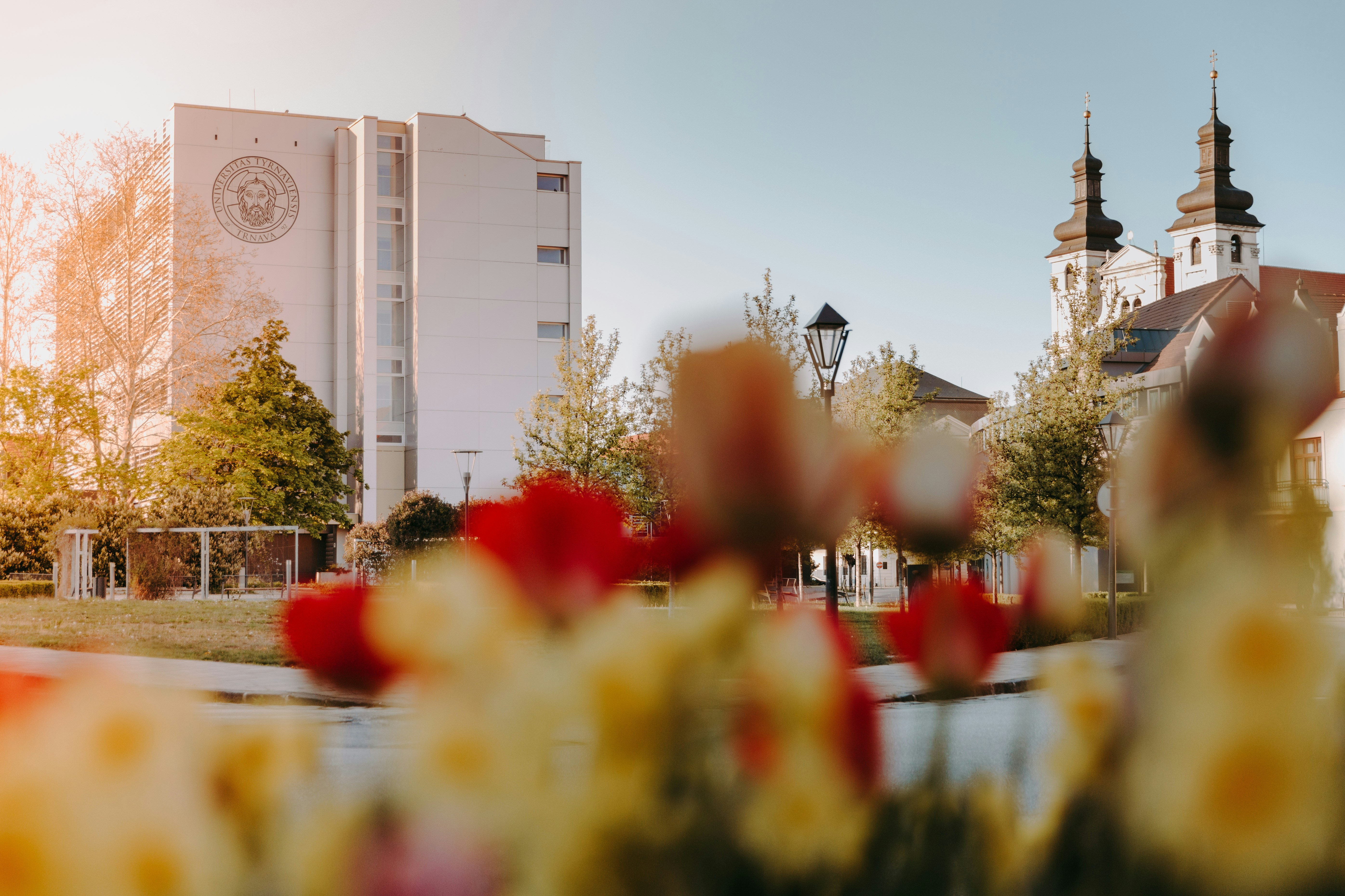 Photo by trnavskauni