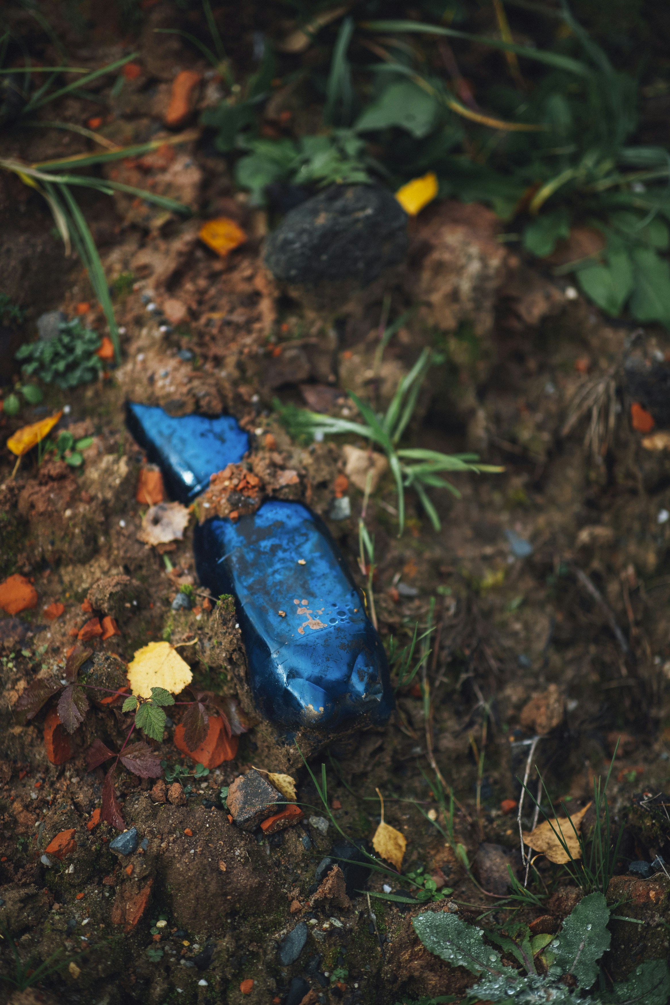 blaue Plastikflasche auf braunen getrockneten Blättern