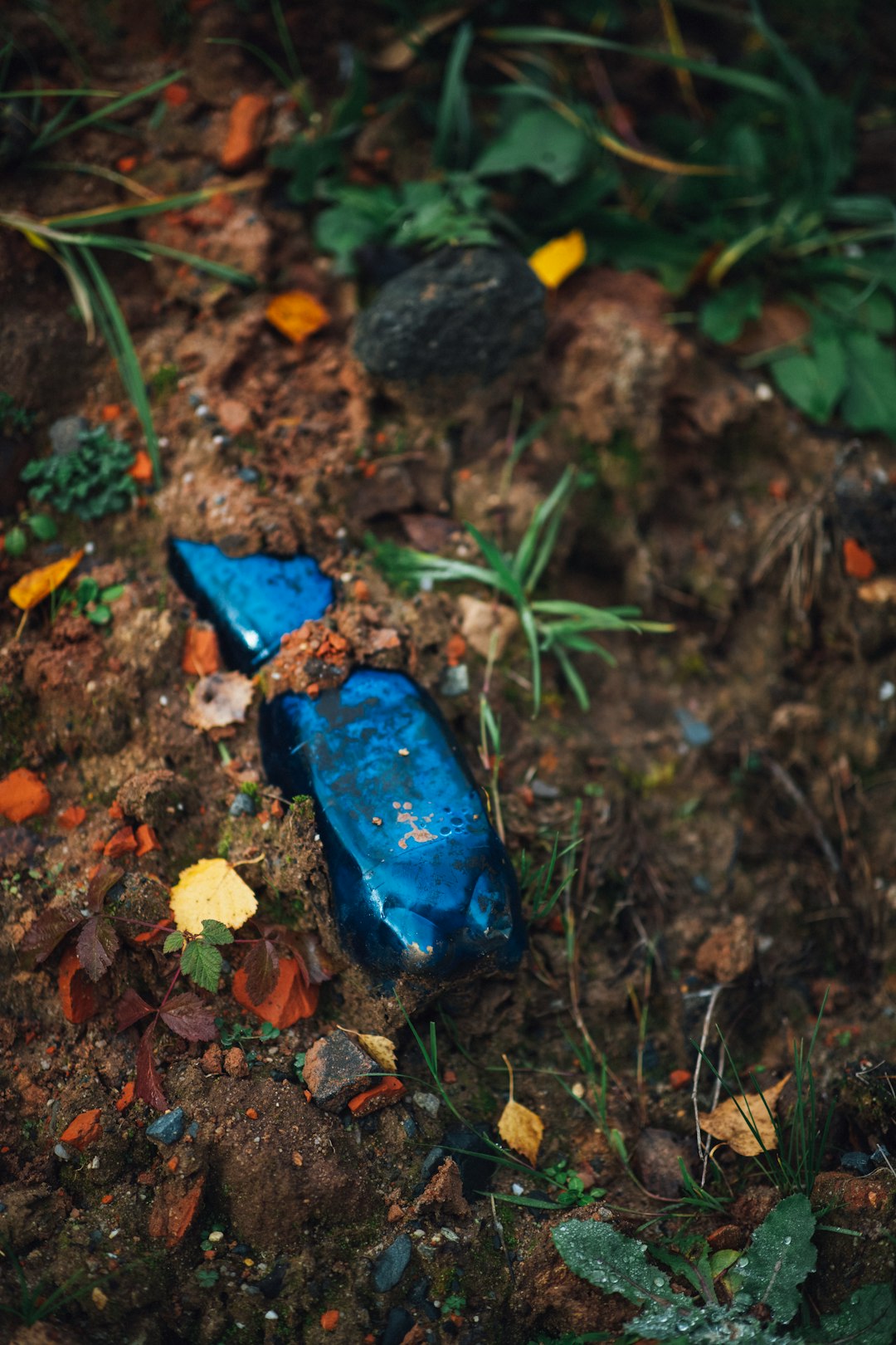 blue plastic bottle on brown dried leaves