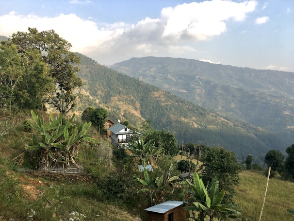 Scenic mountain landscape with cacao trees dotting the green hillsides