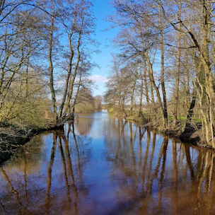 A peaceful scene of a calm river flowing through a forest at sunrise.