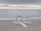 A wedding ceremony setup on a beach features an archway adorned with greenery and white flowers, surrounded by rows of white chairs arranged symmetrically facing the arch. The ocean waves gently roll in the background under a cloudy sky with a hint of sunlight breaking through the clouds along the horizon.