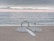 A wedding ceremony setup on a beach features an archway adorned with greenery and white flowers, surrounded by rows of white chairs arranged symmetrically facing the arch. The ocean waves gently roll in the background under a cloudy sky with a hint of sunlight breaking through the clouds along the horizon.