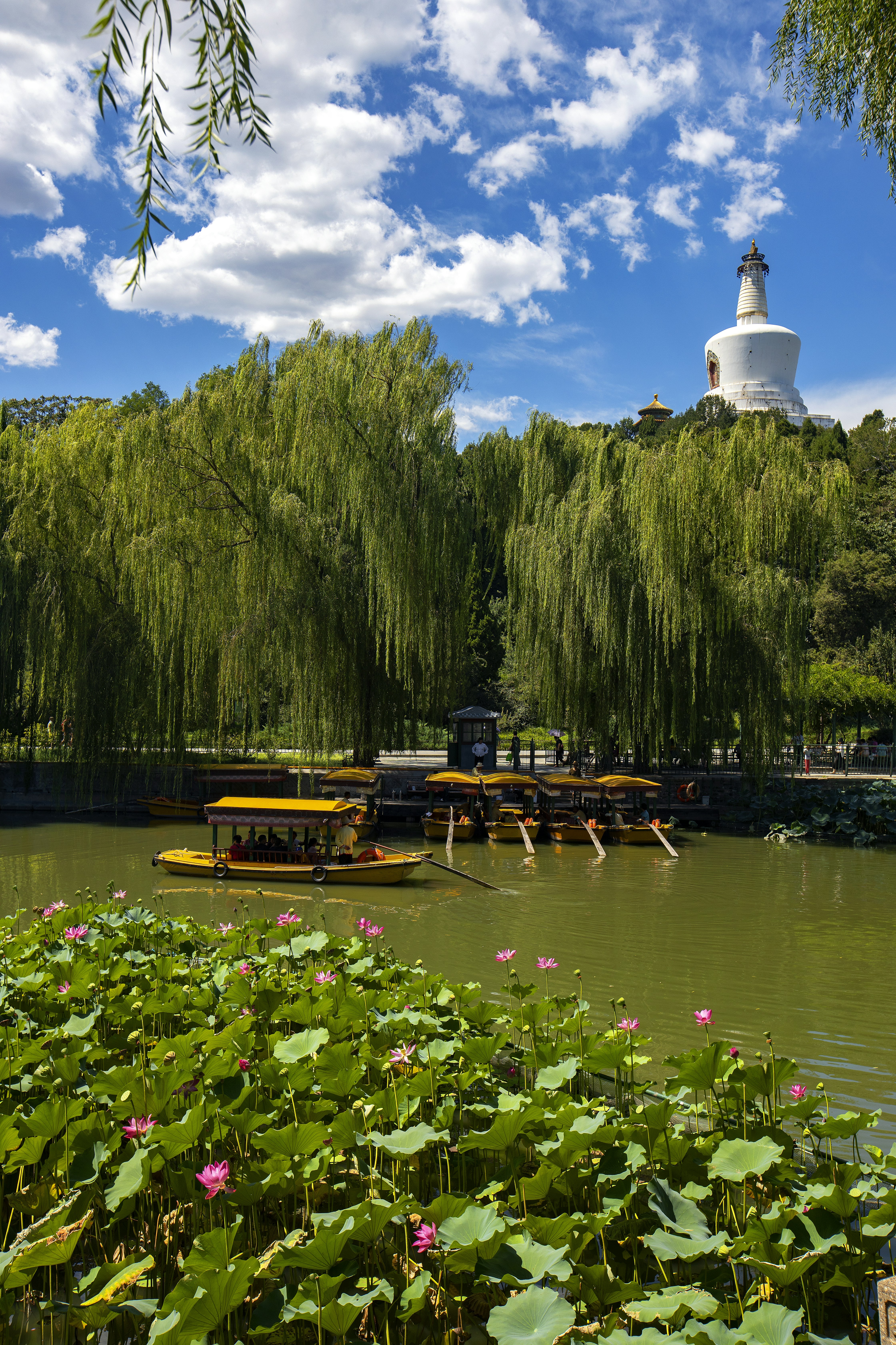 white and brown concrete building near green trees and body of water during daytime