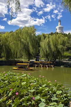 white and brown concrete building near green trees and body of water during daytime