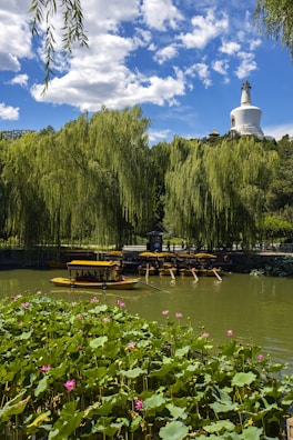 white and brown concrete building near green trees and body of water during daytime