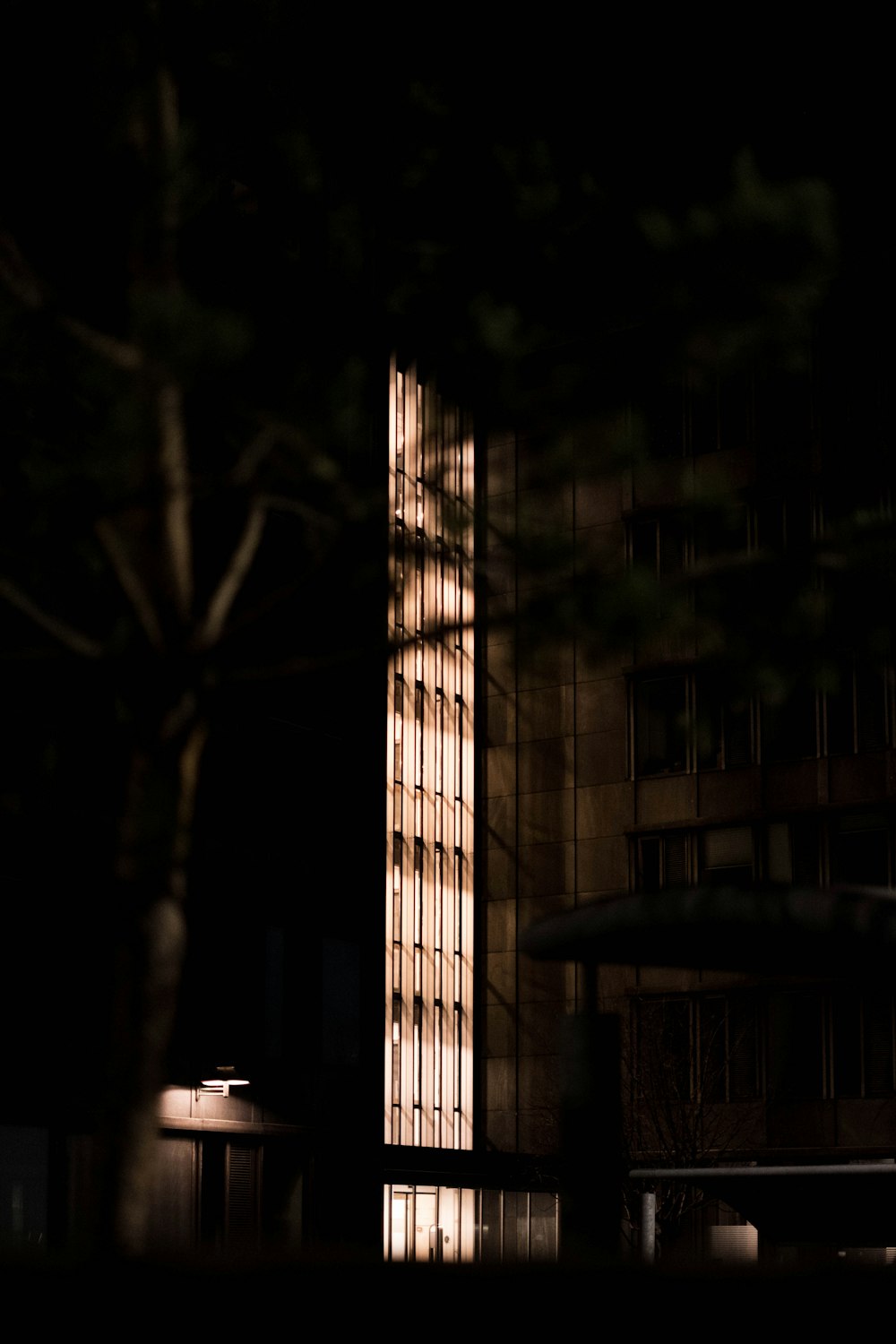 white and brown building during night time