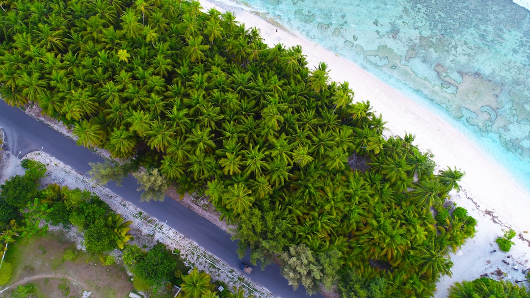 Landscape photo spot Dhadimagu Huvadhu Atoll