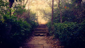A winding path through misty woods leading to ancient, shadowed locations tied to the lovers' tale.