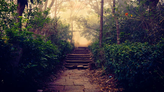 A winding path through misty woods leading to ancient, shadowed locations tied to the lovers' tale.