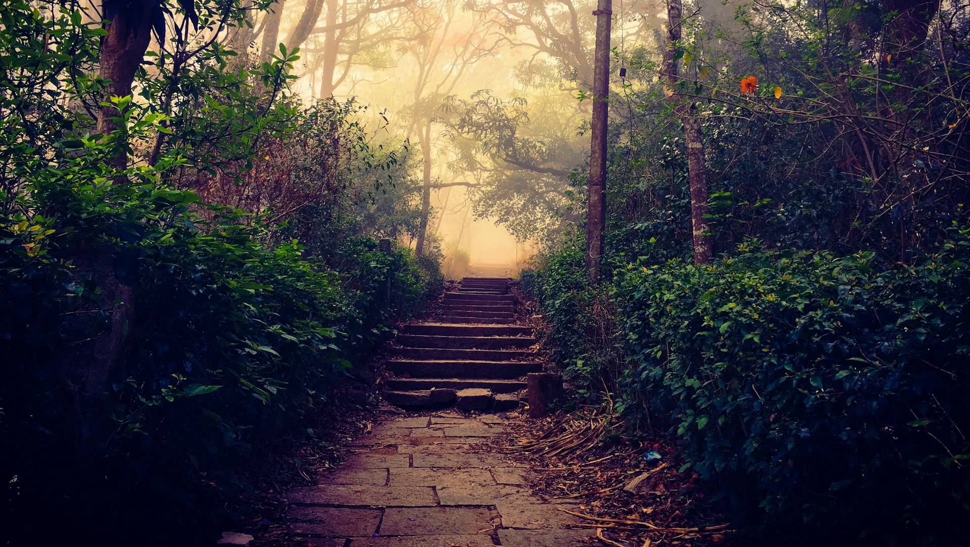 gray computer monitor