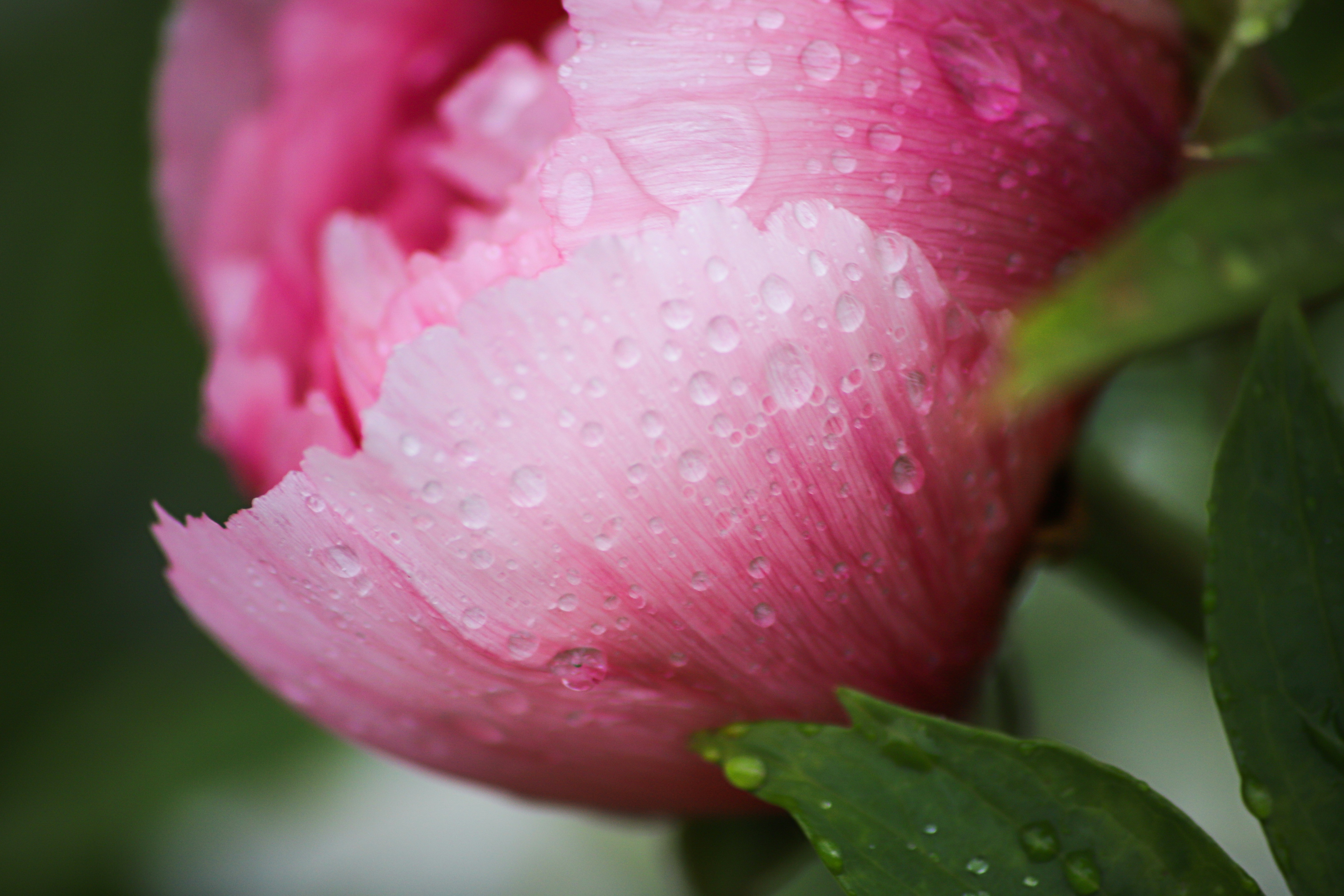 Photo by marion_true