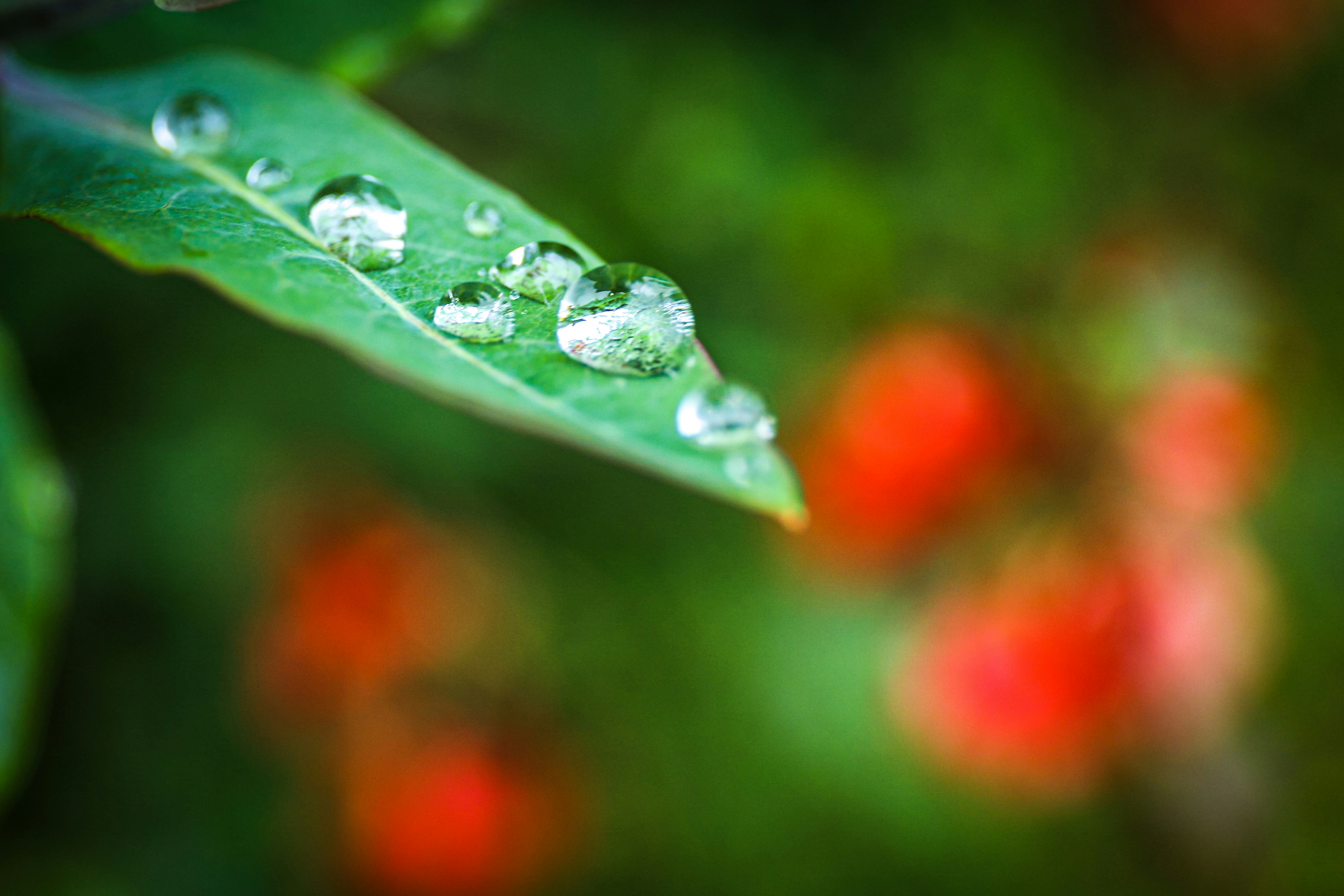 Photo by marion_true