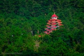 red and white pagoda temple surrounded by green trees during daytime