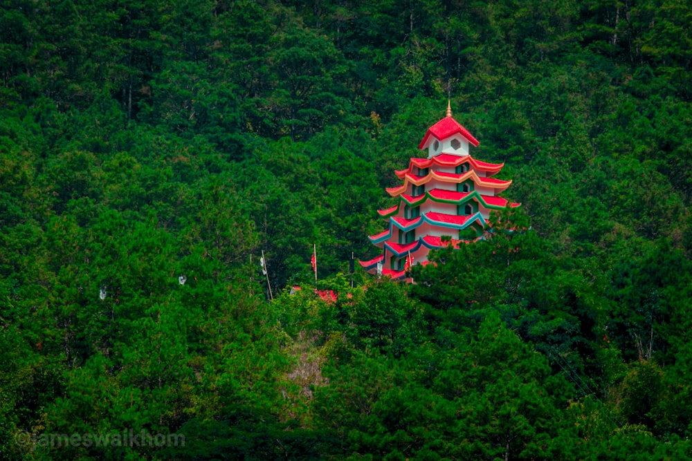 red and white pagoda temple surrounded by green trees during daytime