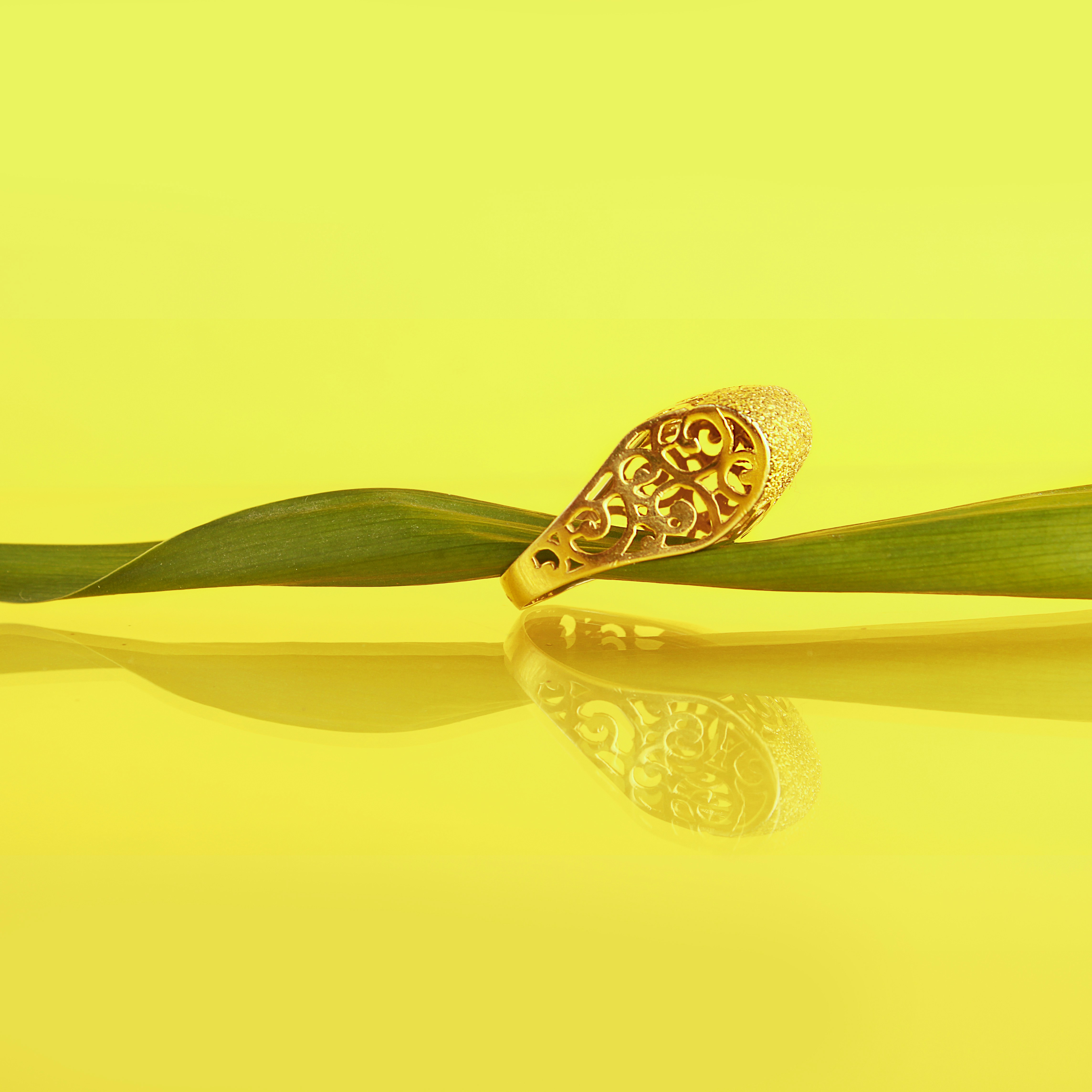 Anel Elegância Ouro