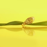 A wedding band resting on deep green leaves, showcasing earthy gold tones in natural light.