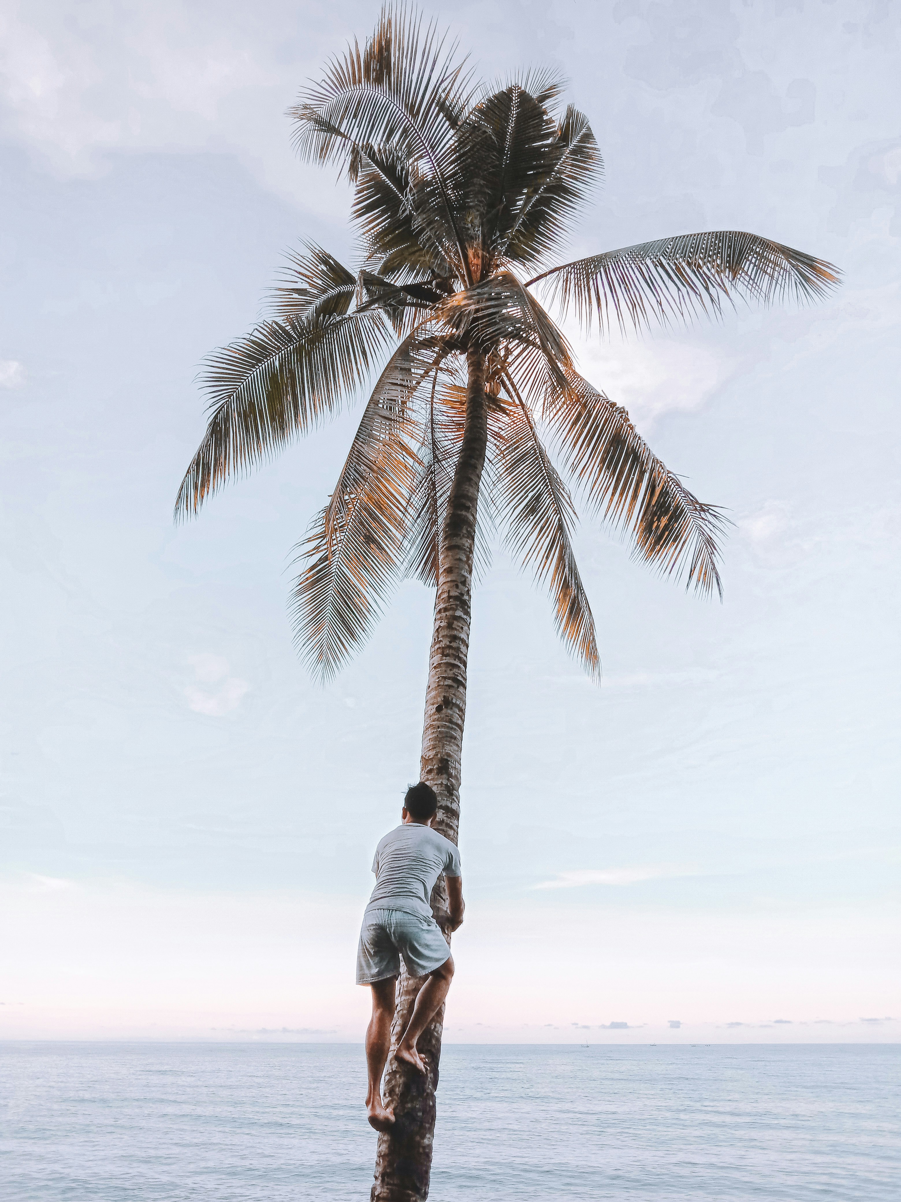 Photo by juliartana4