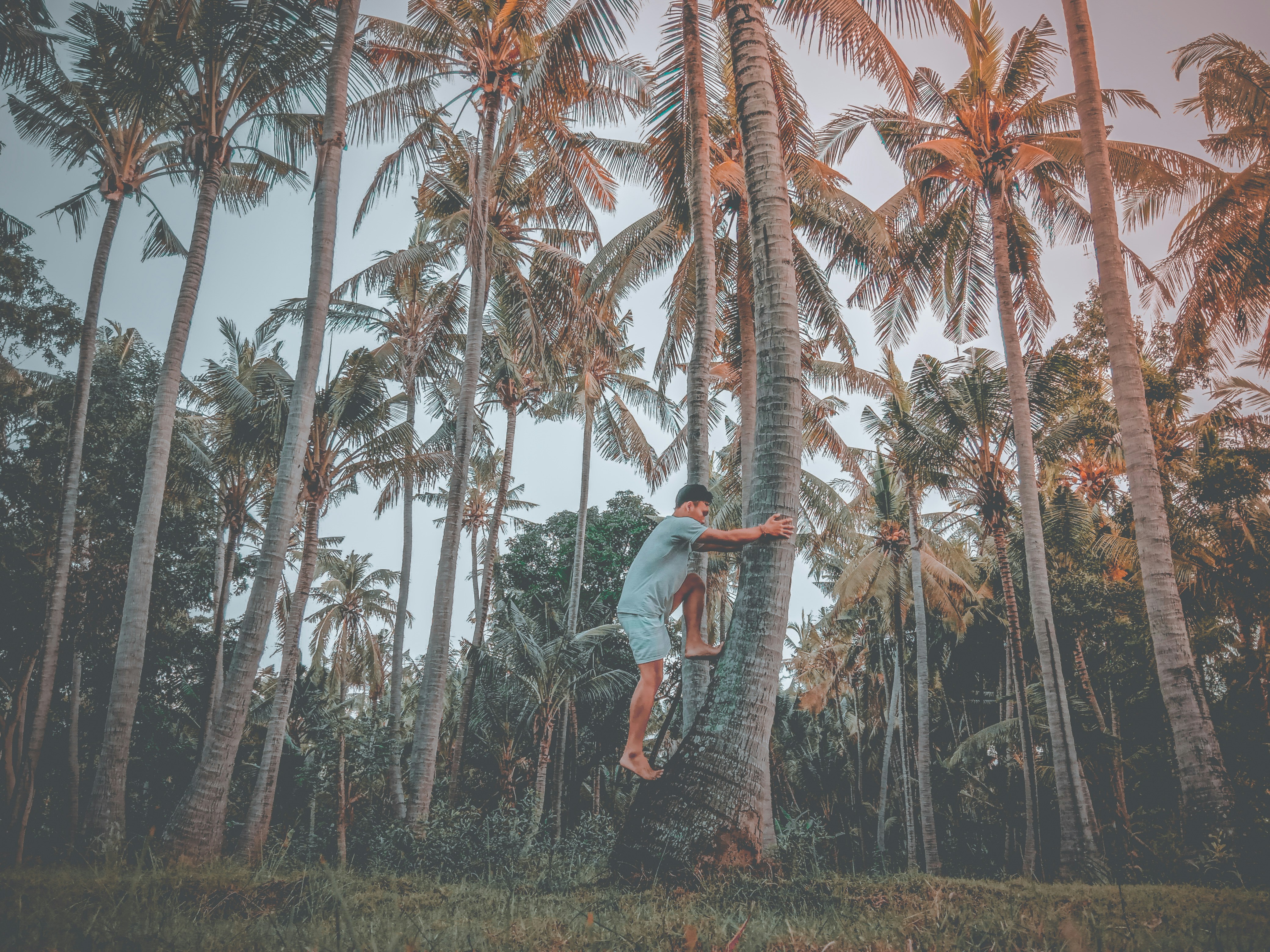 Photo by juliartana4